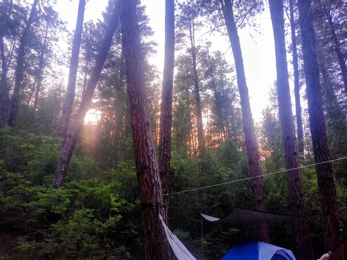 Rose Creek Campground 7
