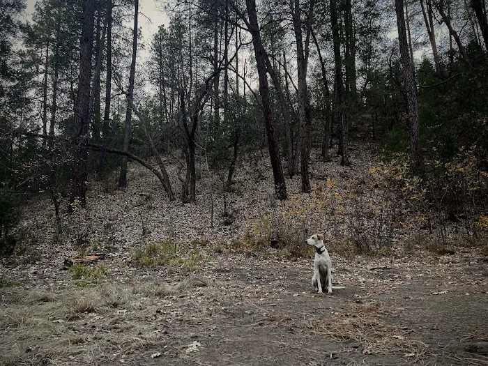 Rose Creek Campground 5