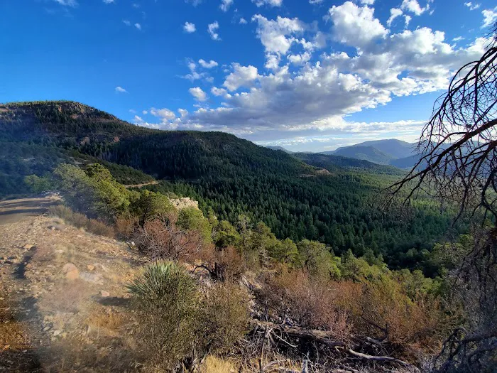 Rose Creek Campground 8