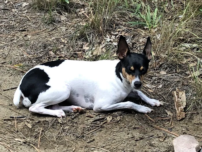 Rose Creek Campground 9