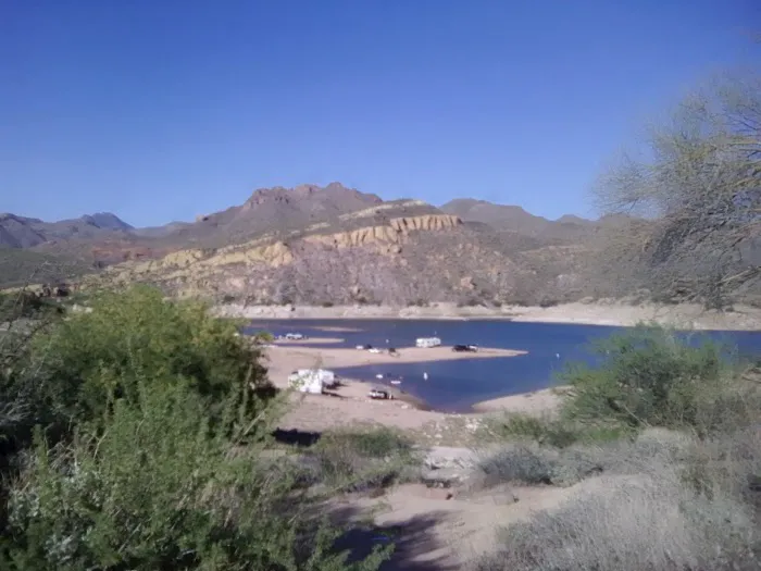 SB Cove 0