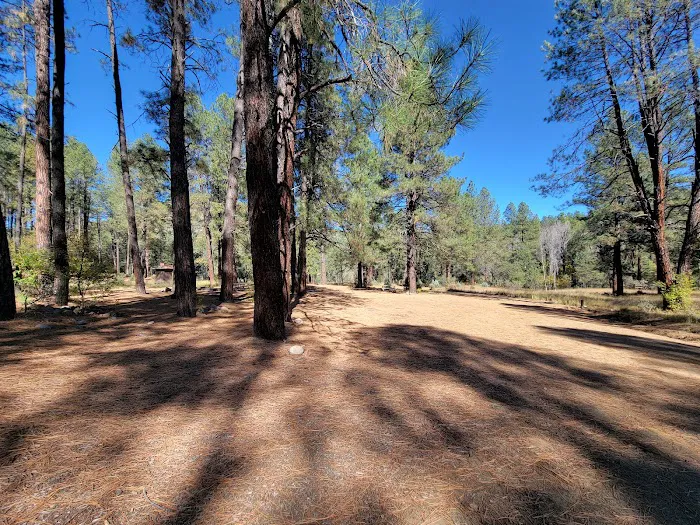 Reynolds Creek 2