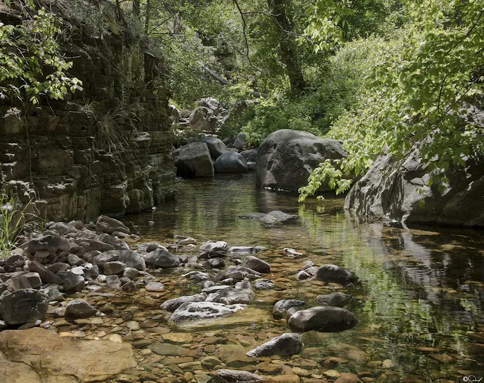 Reynolds Creek 1