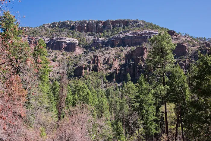 Reynolds Creek 0