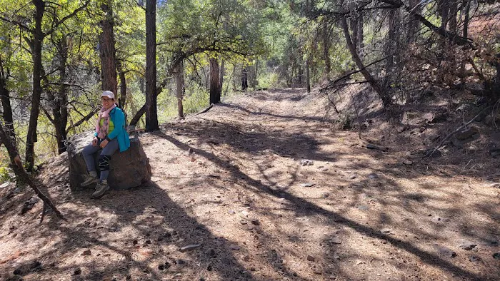Reynolds Creek 3