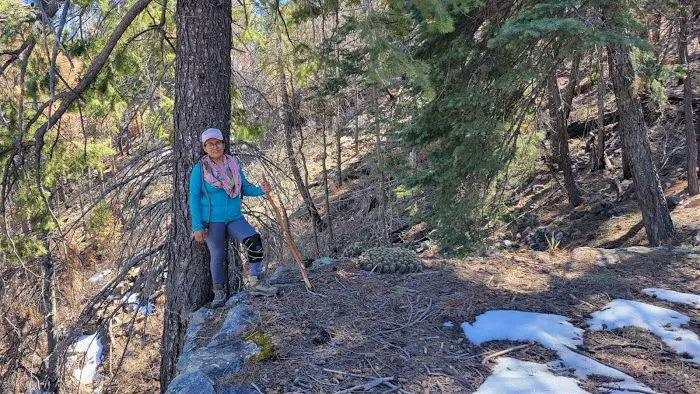 Reynolds Creek 6