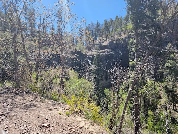 Reynolds Creek 7