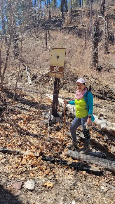 Reynolds Creek 9
