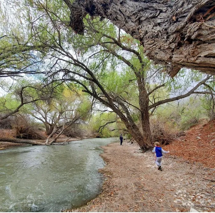 Riverside Campground 1