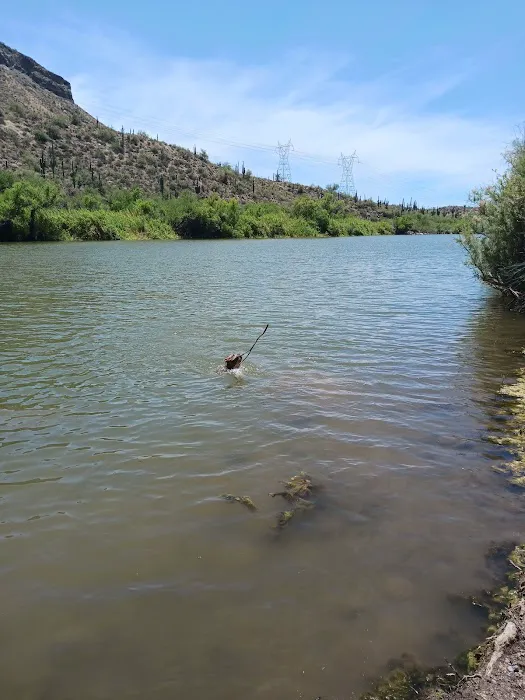 Riverside Campground 2