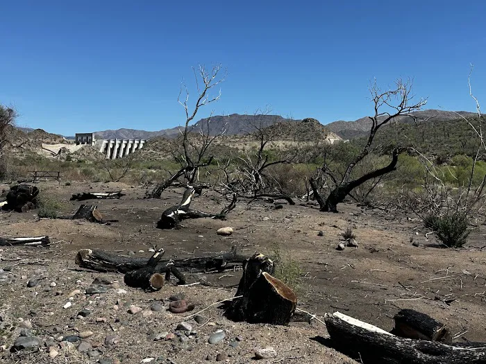 Riverside Campground 3