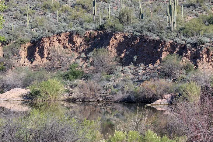 Riverside Campground 7