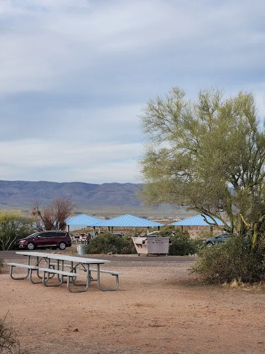 Grapevine Group Site - Mallard Loop 2