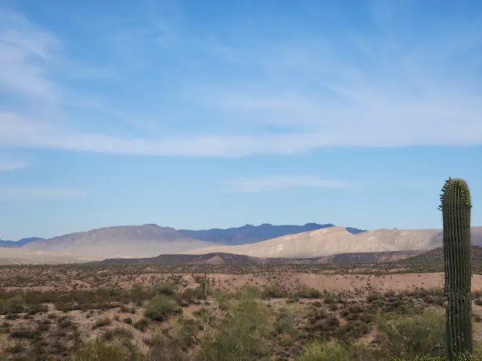 Grapevine Group Site - Mallard Loop 3