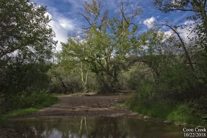 Coon Creek 0