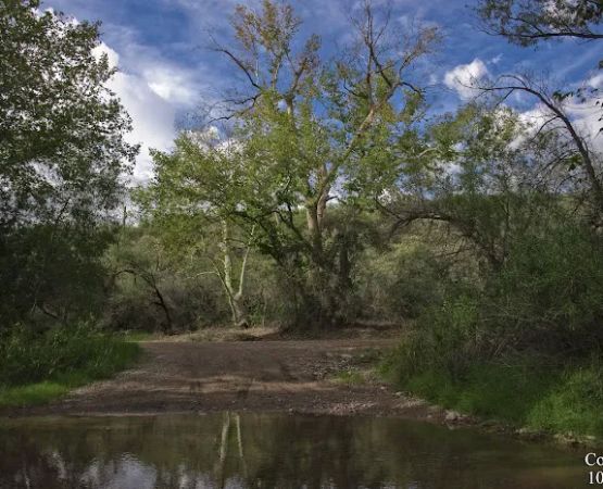 Coon Creek