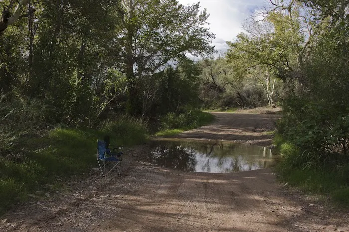 Coon Creek 1