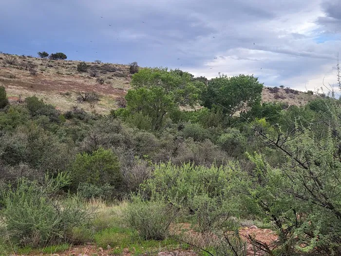 Jones Water Campground 3