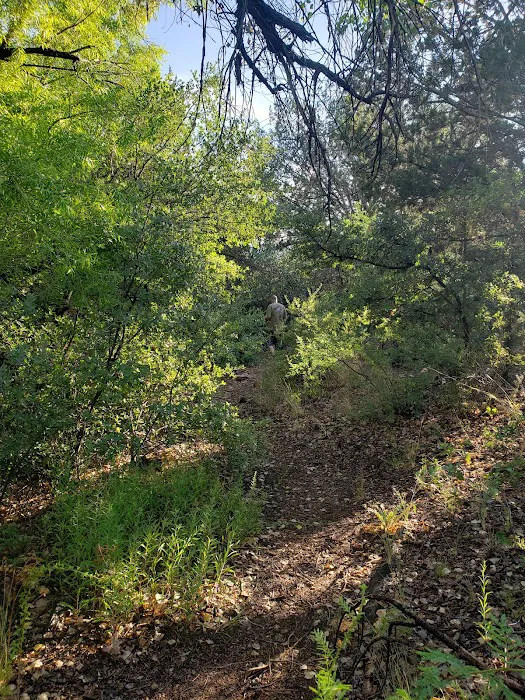 Jones Water Campground 4