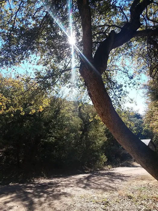Jones Water Campground 8