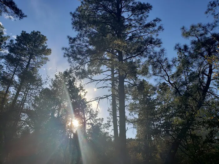 Timber Camp Recreation Site 1