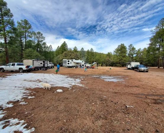 Timber Camp Recreation Site