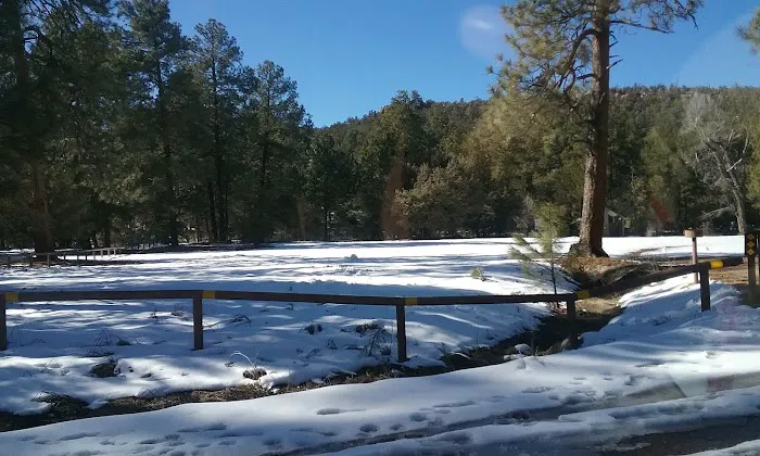 Timber Camp Recreation Site 5