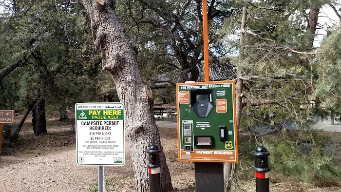 Timber Camp Recreation Site 3