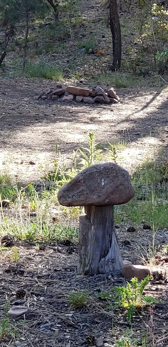 Timber Camp Recreation Site 7