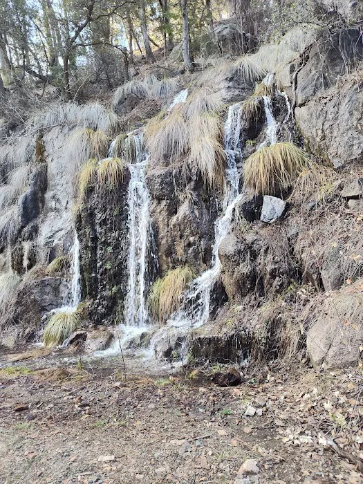 Workman Creek 2