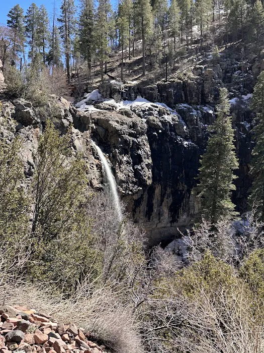Workman Creek 1