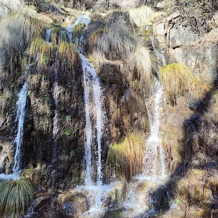 Workman Creek 6
