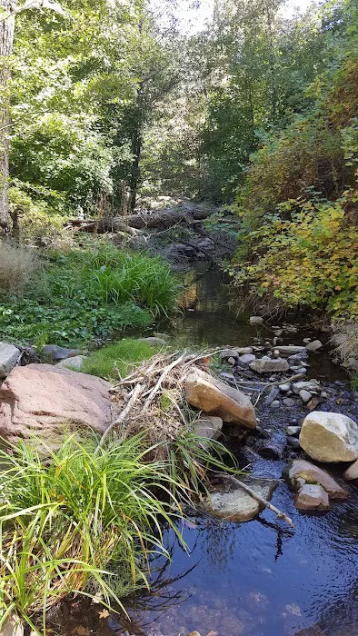 Workman Creek 7