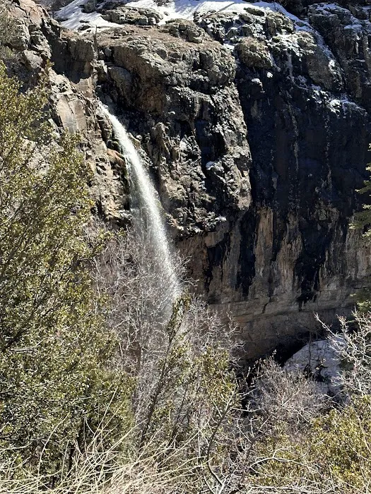 Workman Creek 9