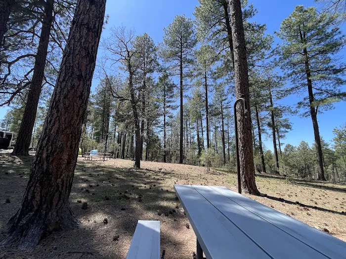 Sharp Creek Camp Grounds 0