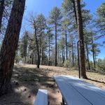 Sharp Creek Camp Grounds