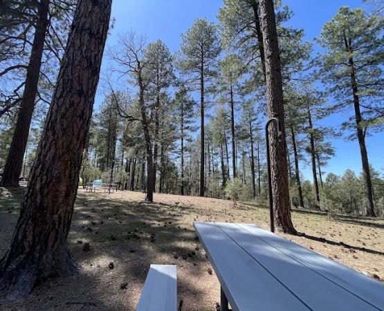 Sharp Creek Camp Grounds
