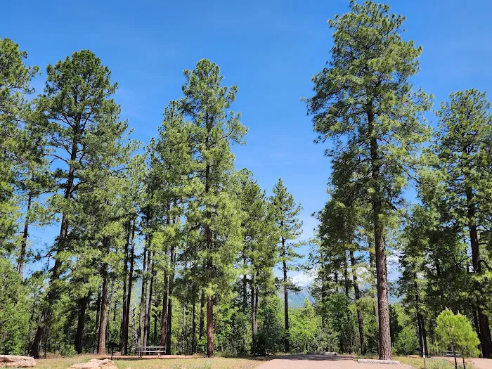 Sharp Creek Camp Grounds 1