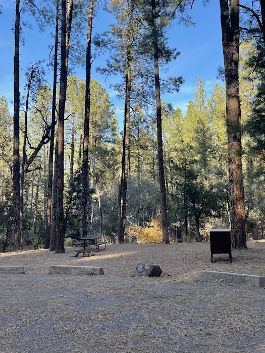 Christopher Creek Campground 1