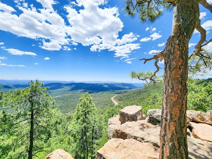 Christopher Creek Campground 8
