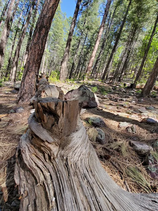 Christopher Creek Campground 6
