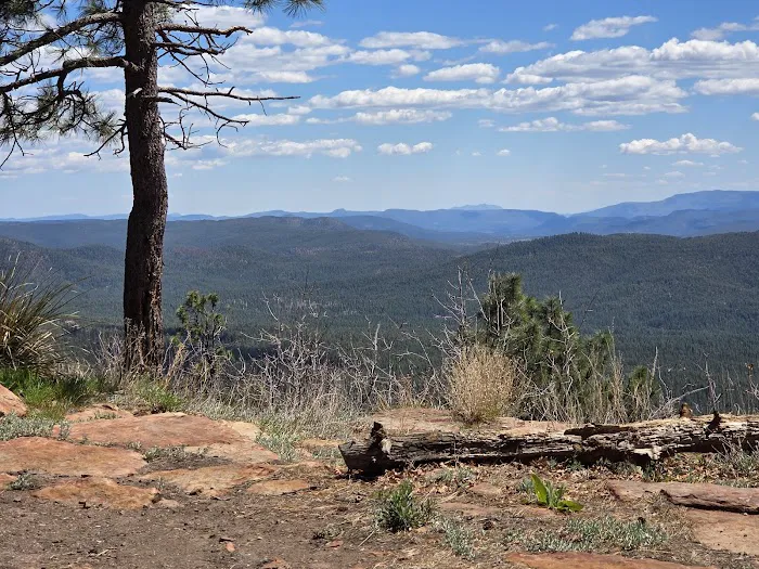 Campsite #26 0