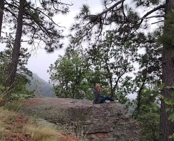 Campsite #24
