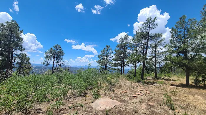 Campsite #24 1