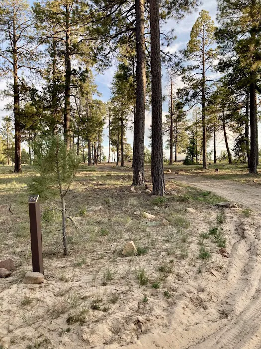 Campsite #24 2