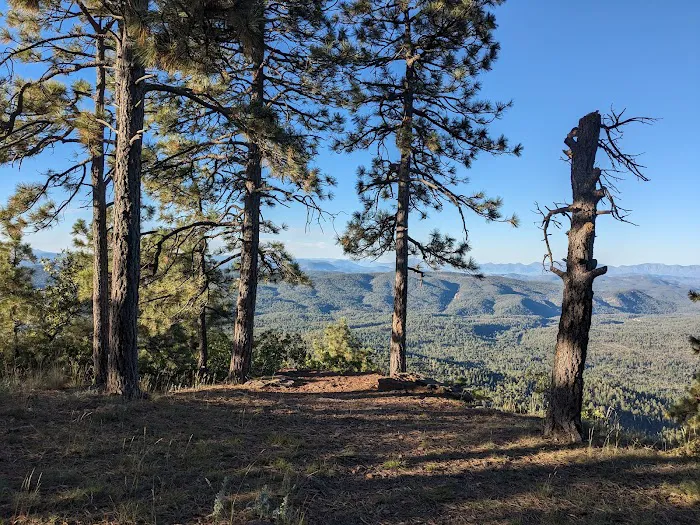 Campsite #22 4