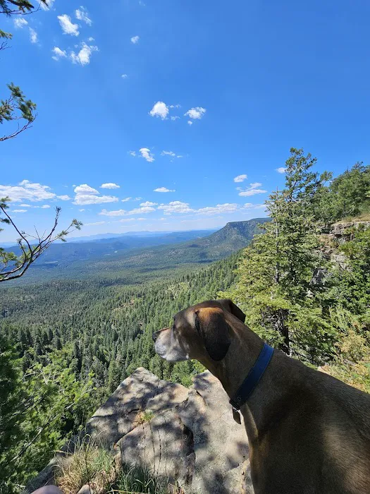 Campsite #30 6