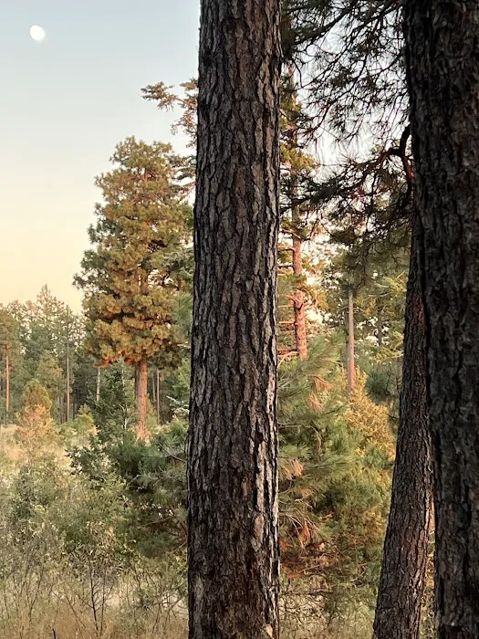 Campsite #30 8