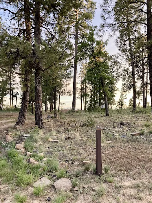 Campsite #32 2