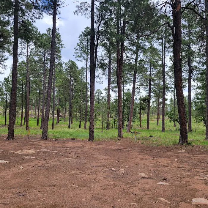Campsite #21 3